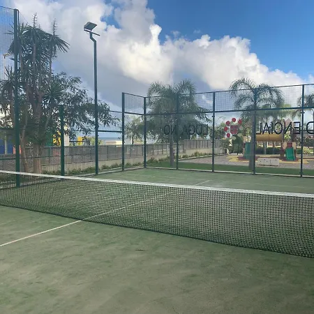 Vista Divina - Mil Palmeras
